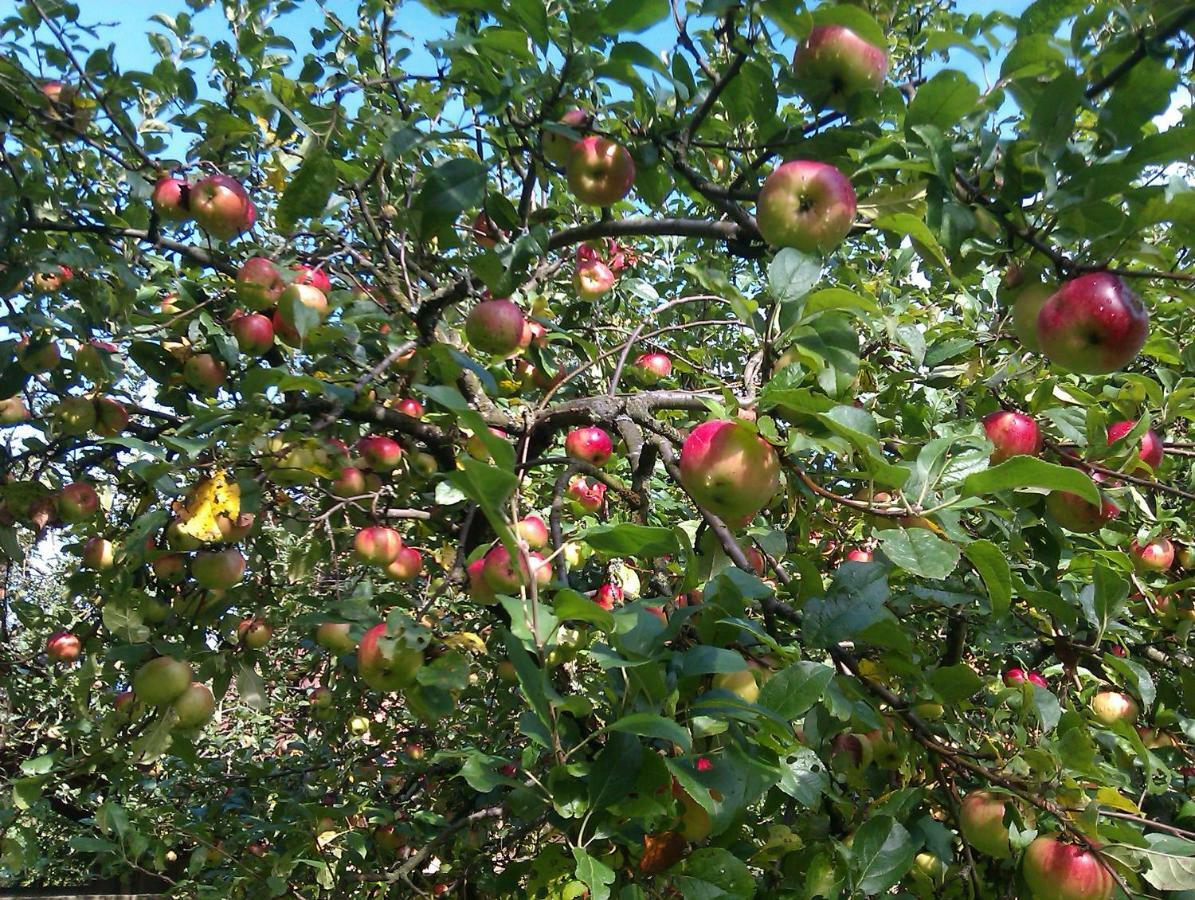 Appartement Apple tree à Zagreb Extérieur photo