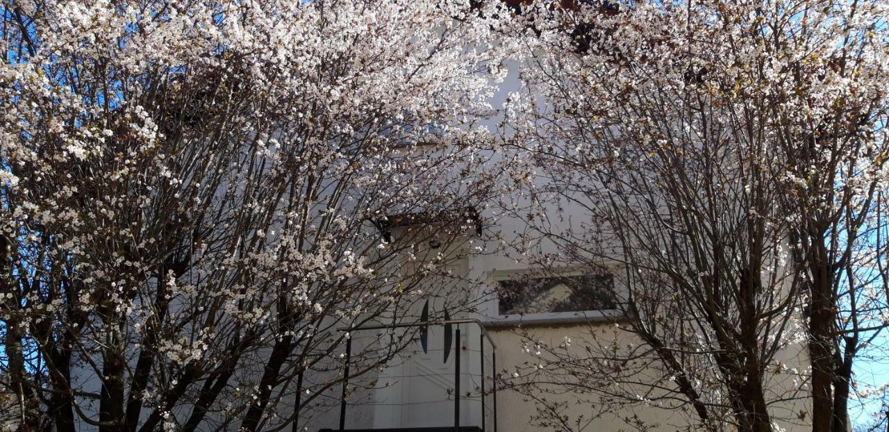 Appartement Apple tree à Zagreb Extérieur photo